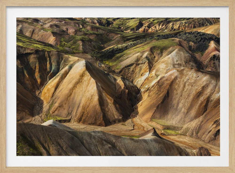 Bunte Erde | Poster