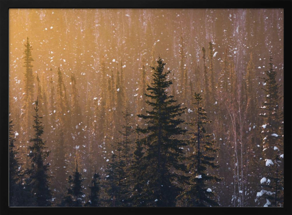 Schneeflocken | Poster