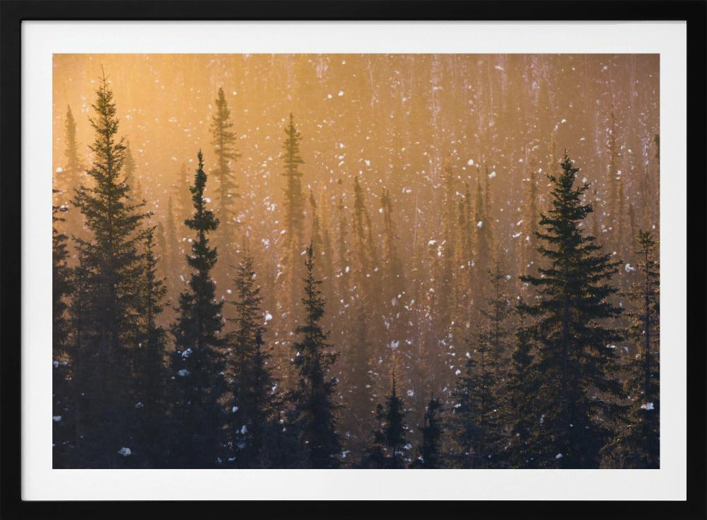 Schneeflocken | Poster