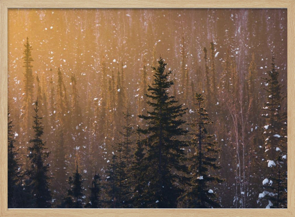 Schneeflocken | Poster