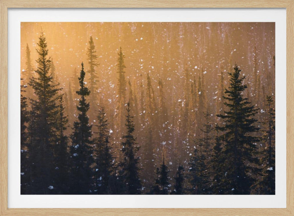 Schneeflocken | Poster