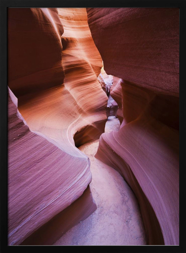 Lila Canyon | Poster