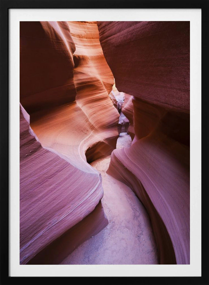 Lila Canyon | Poster