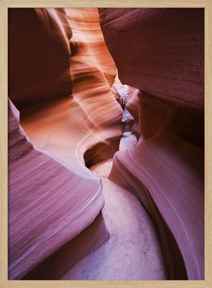 Lila Canyon | Poster