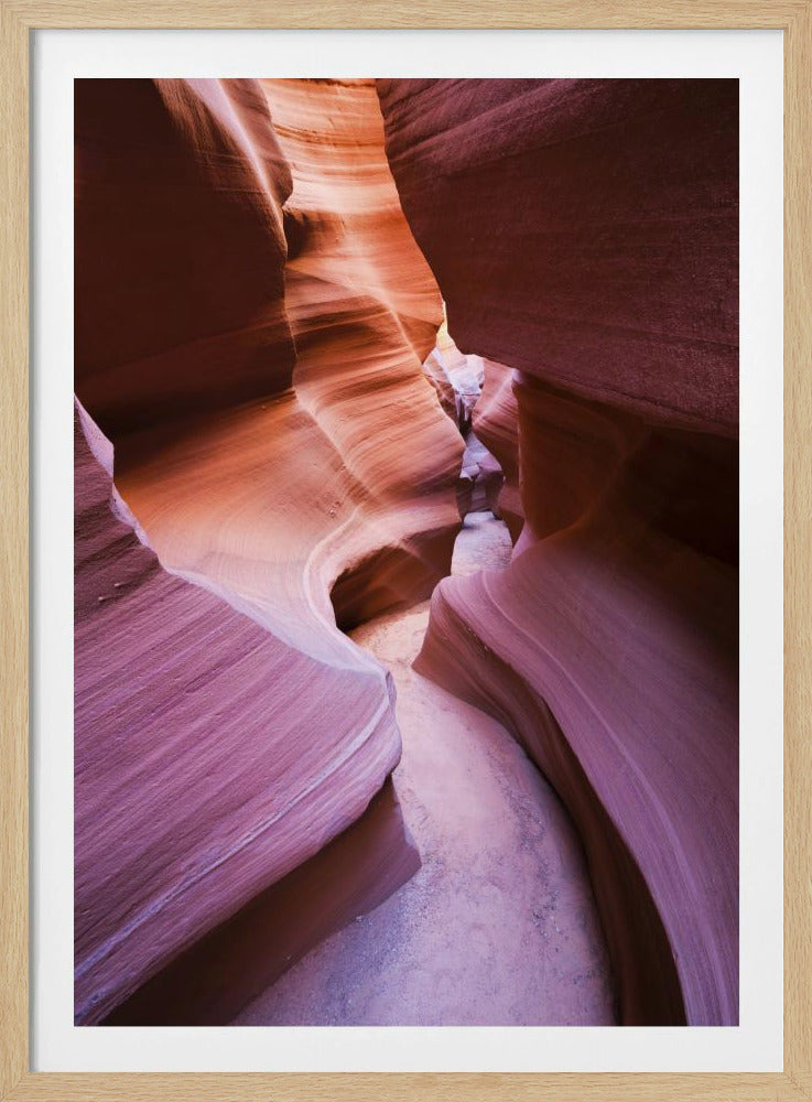Lila Canyon | Poster
