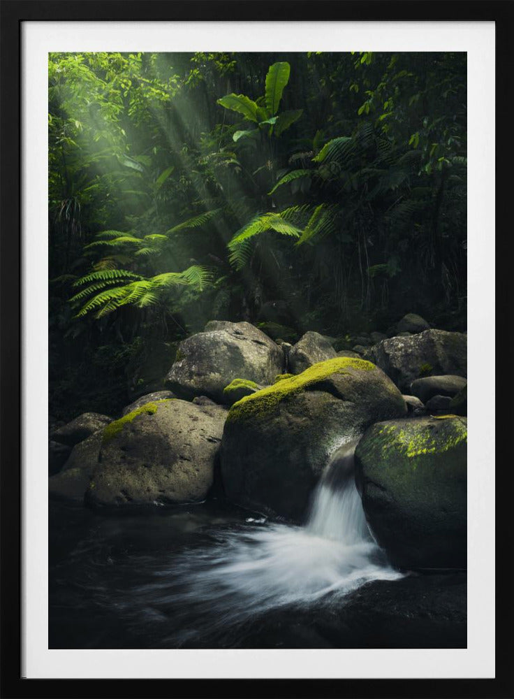 Mystischer Dschungel | Poster