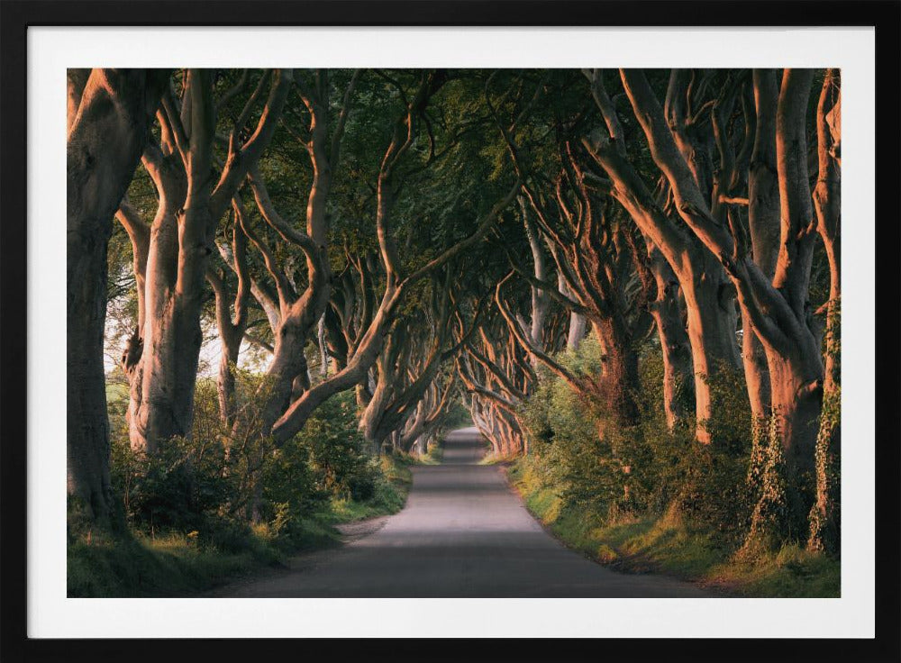 Red Avenue | Poster