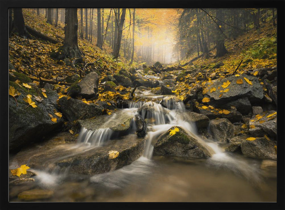 Herbstbach | Poster
