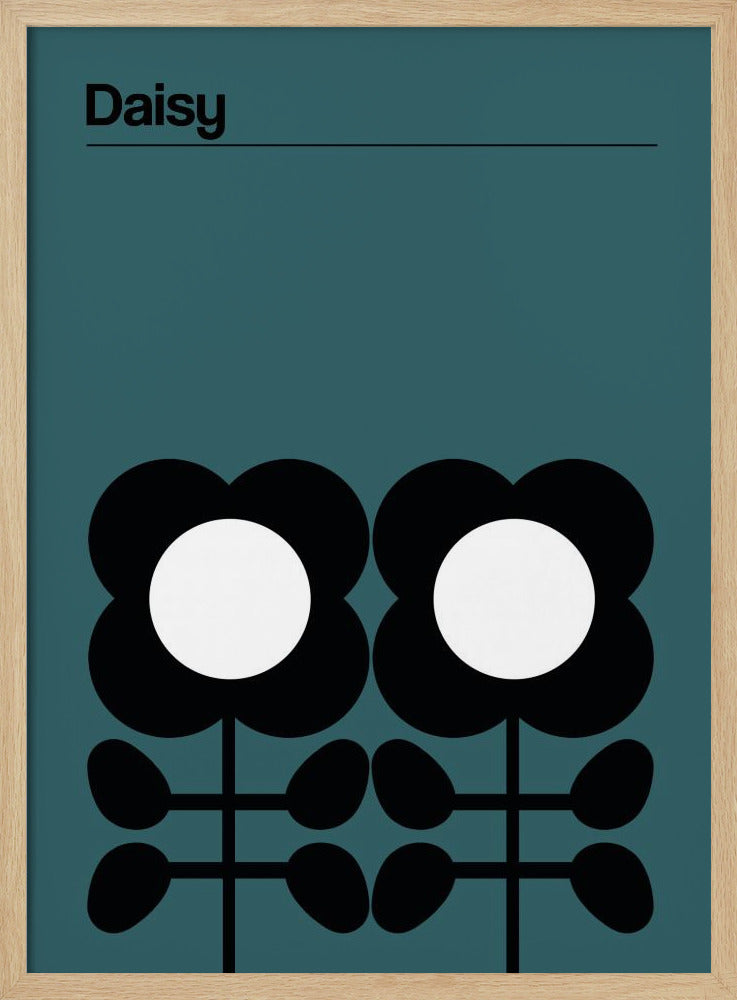 Gänseblümchen-Türkis | Poster