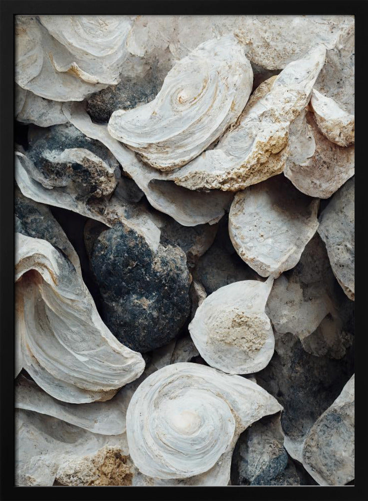 Muscheln und Stein | Poster