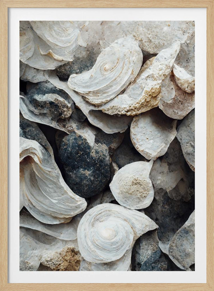 Muscheln und Stein | Poster