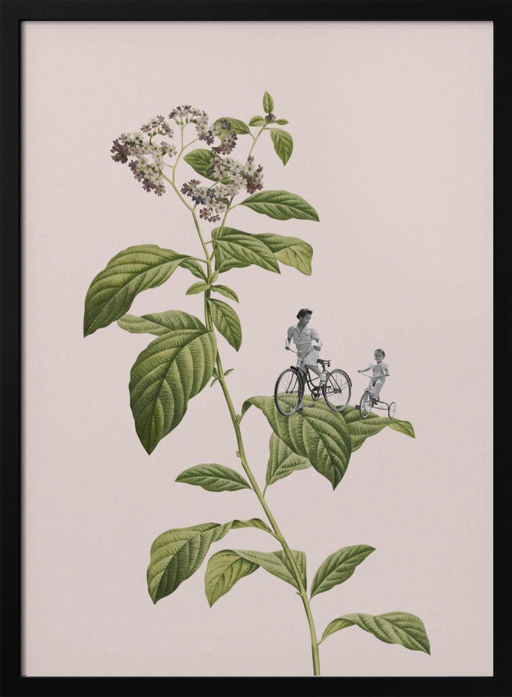 Botanisches Radfahren | Poster