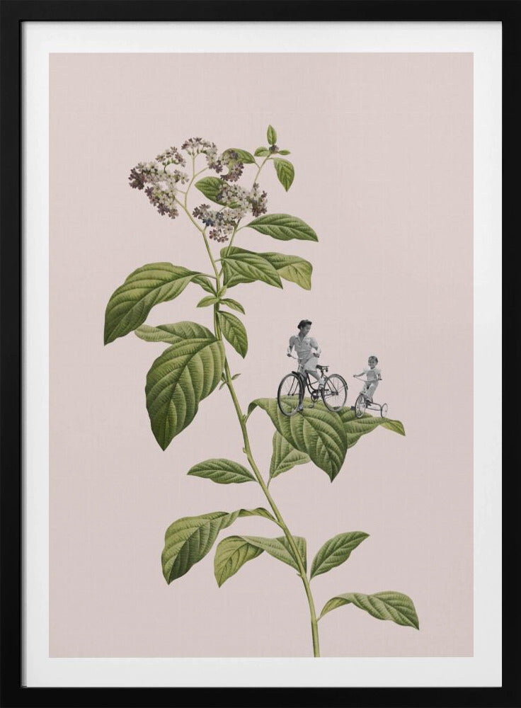 Botanisches Radfahren | Poster