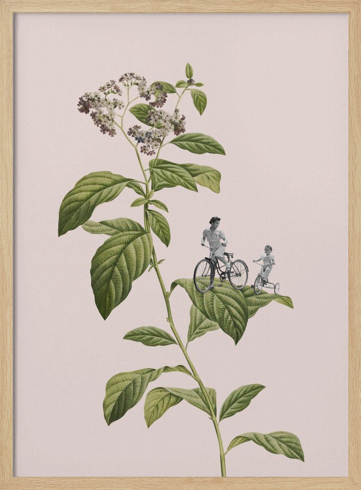 Botanisches Radfahren | Poster