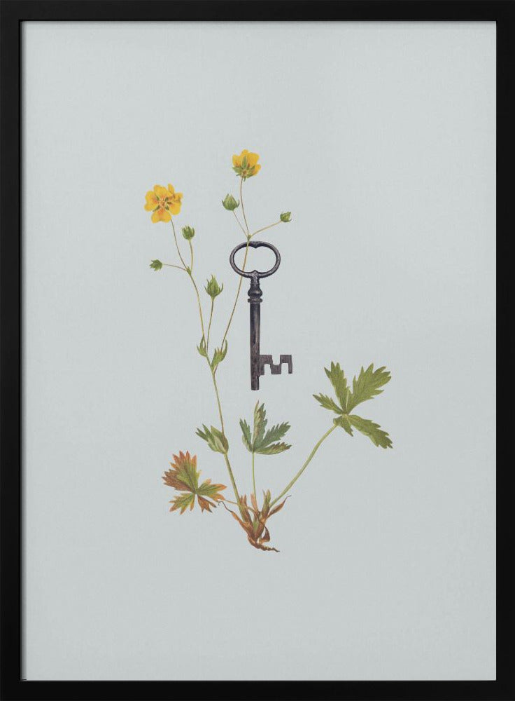 Botanischer Vintage-Schlüssel | Poster
