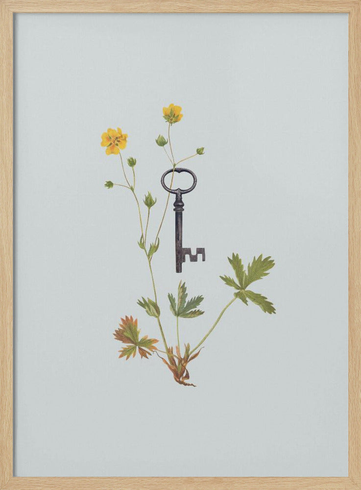 Botanischer Vintage-Schlüssel | Poster