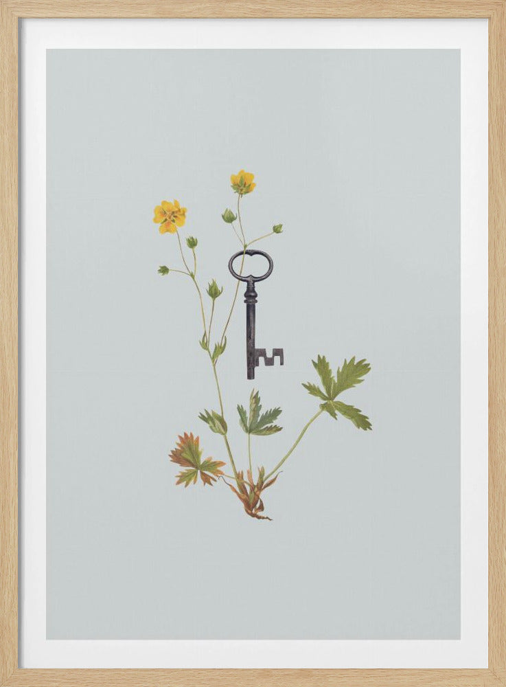 Botanischer Vintage-Schlüssel | Poster