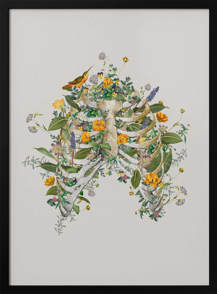 Floraler Thorax | Poster