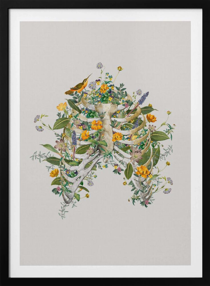 Floraler Thorax | Poster