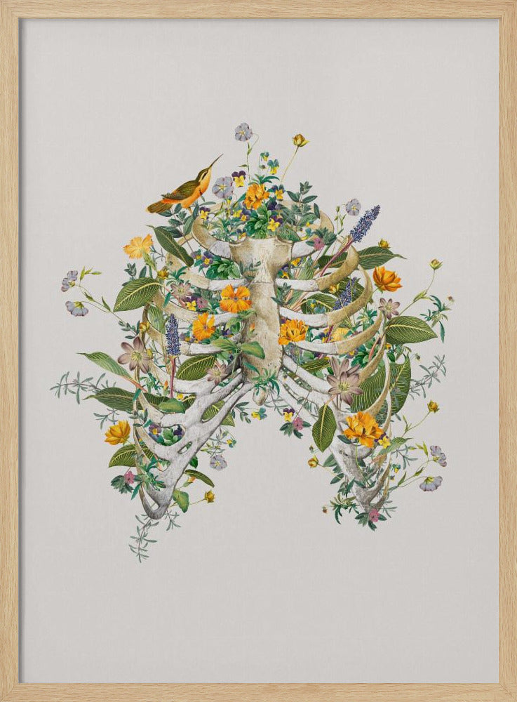 Floraler Thorax | Poster