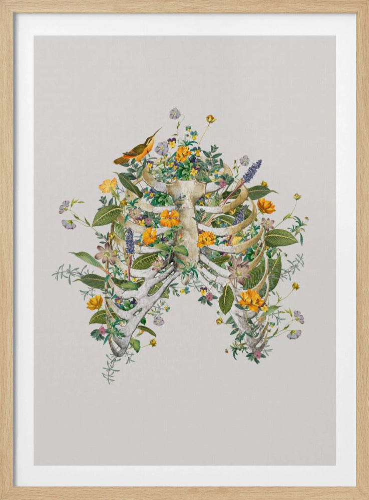 Floraler Thorax | Poster