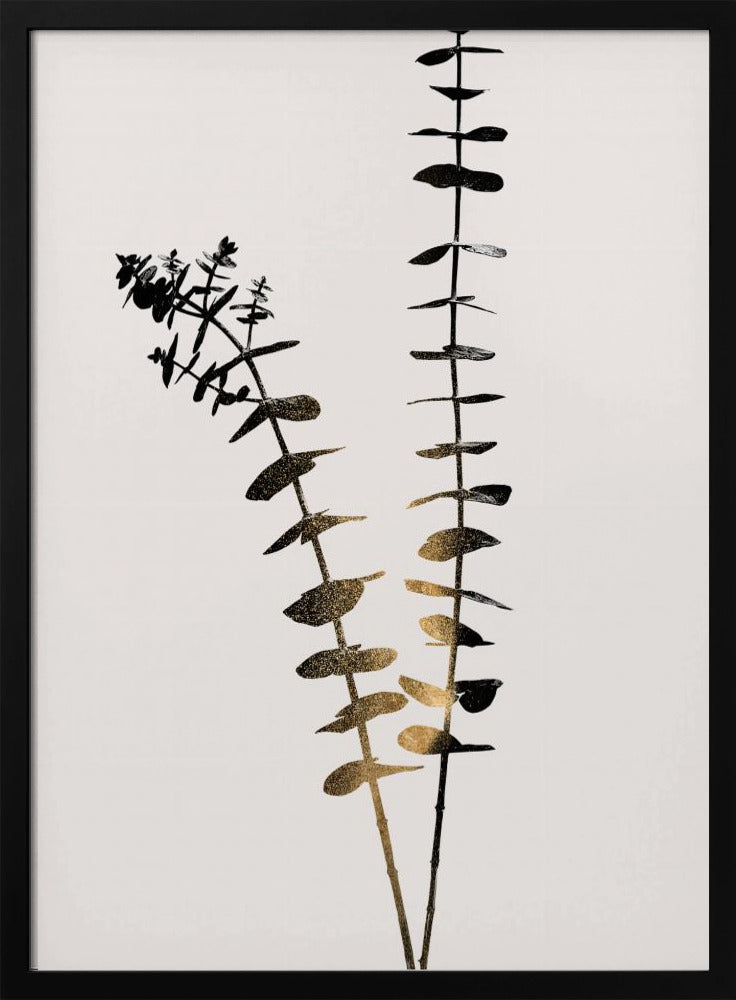 Eukalyptus Dunkelgold | Poster