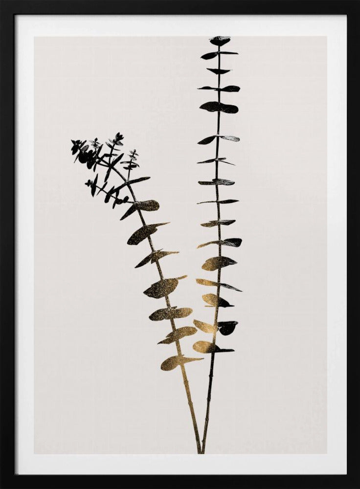 Eukalyptus Dunkelgold | Poster