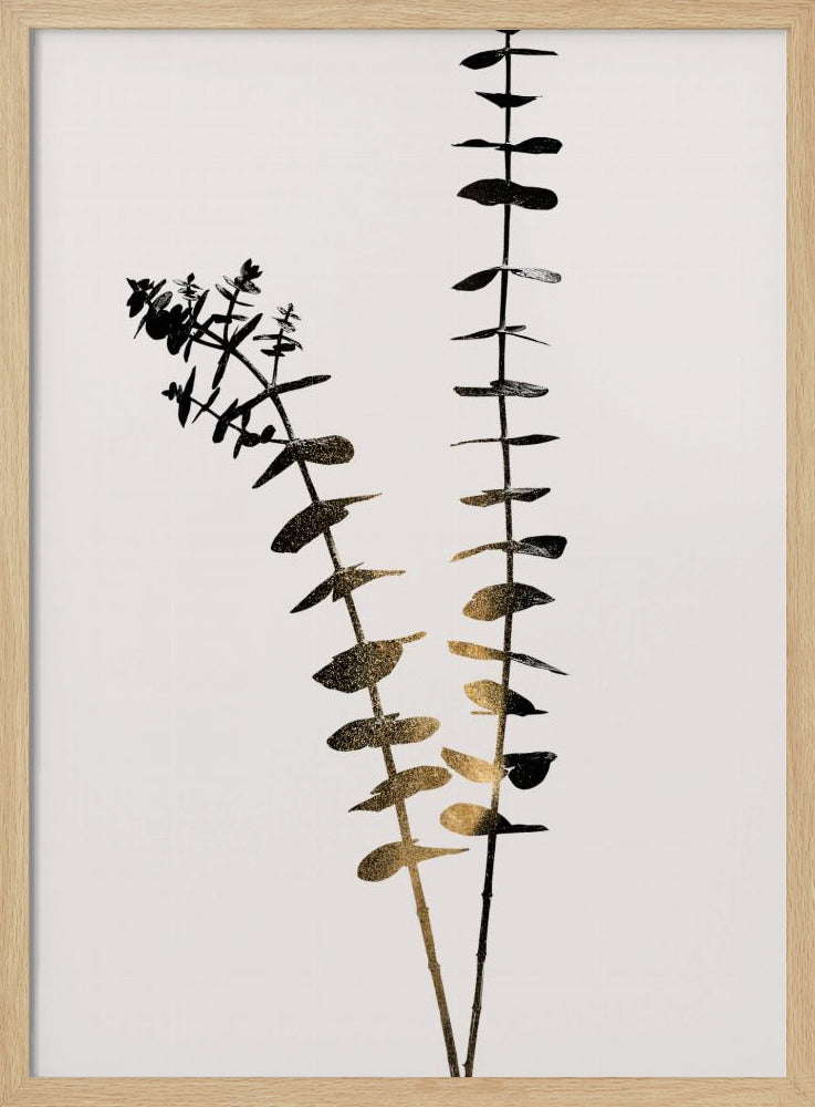 Eukalyptus Dunkelgold | Poster