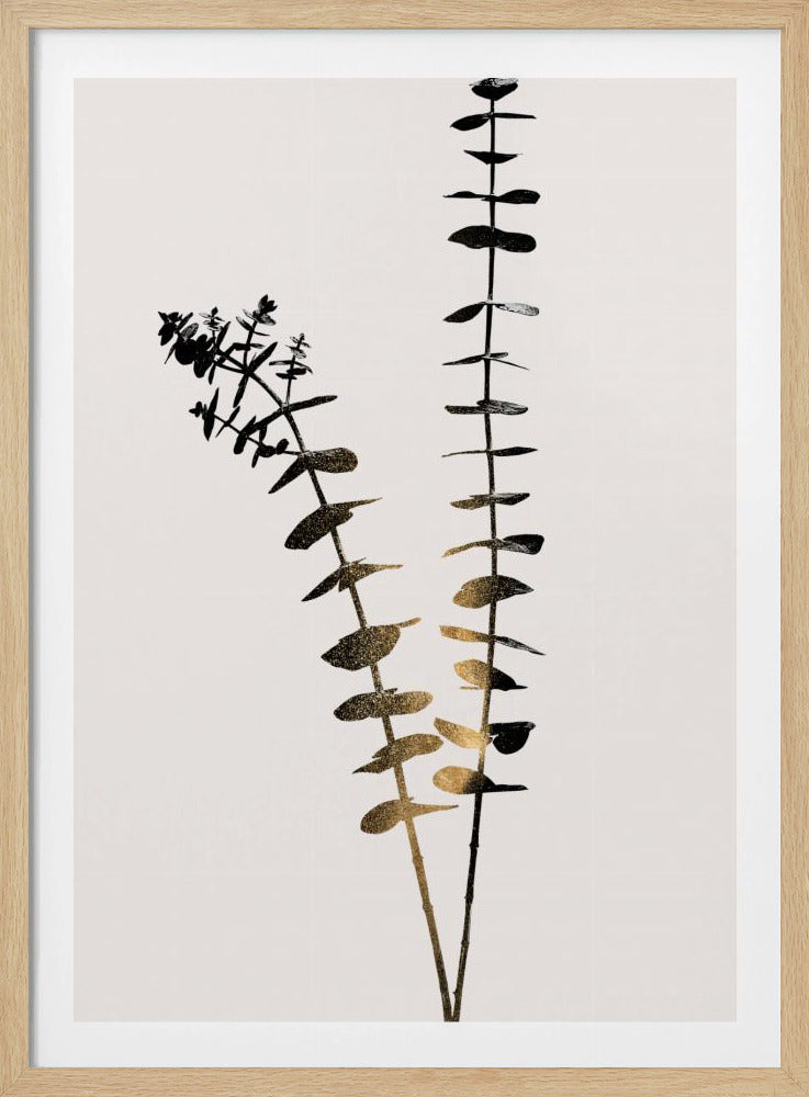 Eukalyptus Dunkelgold | Poster