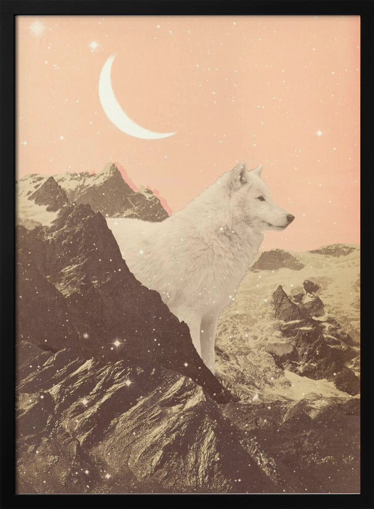 Riesiger weißer Wolf in den Bergen | Poster