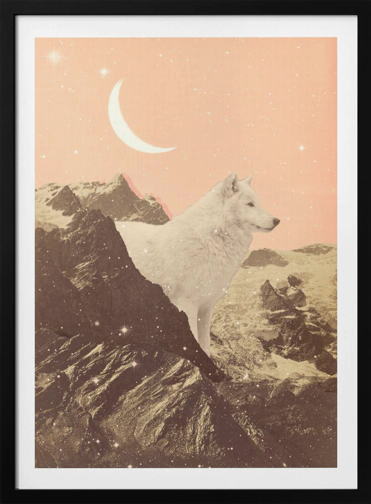 Riesiger weißer Wolf in den Bergen | Poster