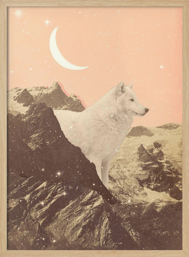 Riesiger weißer Wolf in den Bergen | Poster