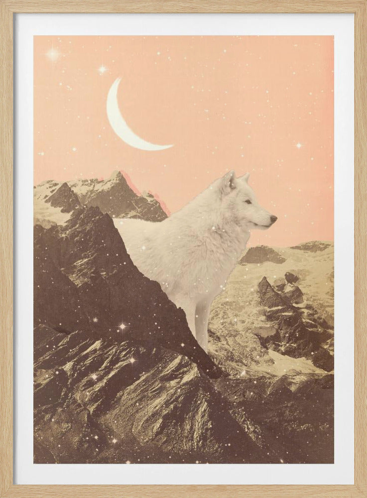 Riesiger weißer Wolf in den Bergen | Poster