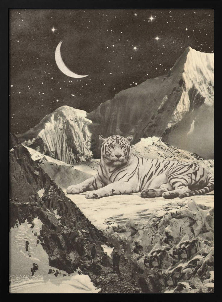 Riesiger weißer Tiger | Poster