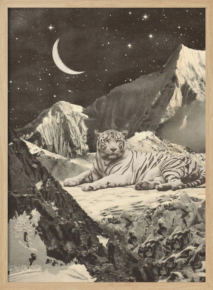 Riesiger weißer Tiger | Poster
