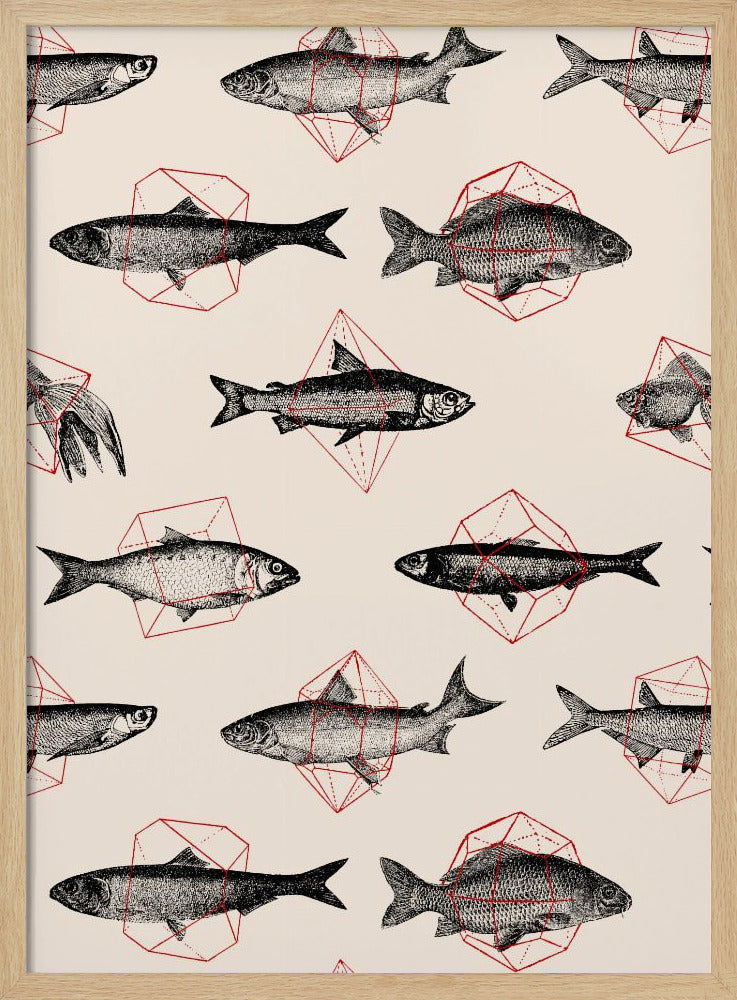 Fische in der Geometrie Nr. 4 | Poster