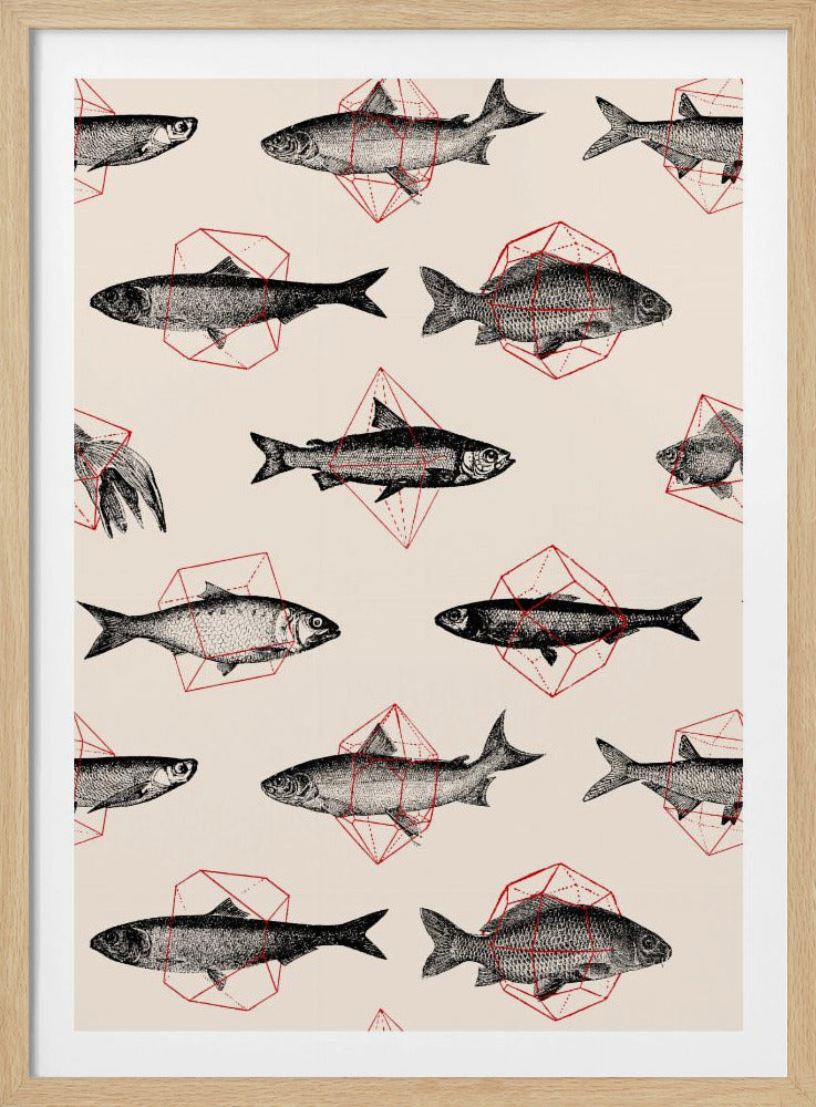 Fische in der Geometrie Nr. 4 | Poster