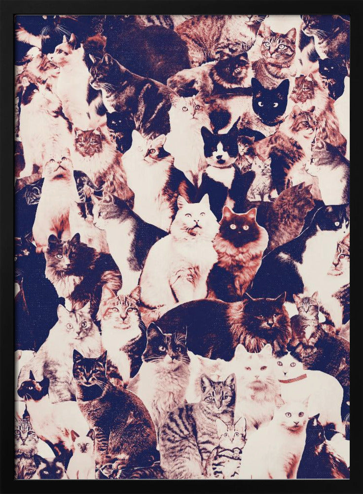 Katzen für immer | Poster