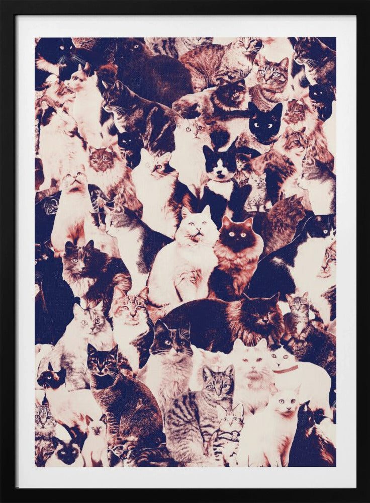 Katzen für immer | Poster