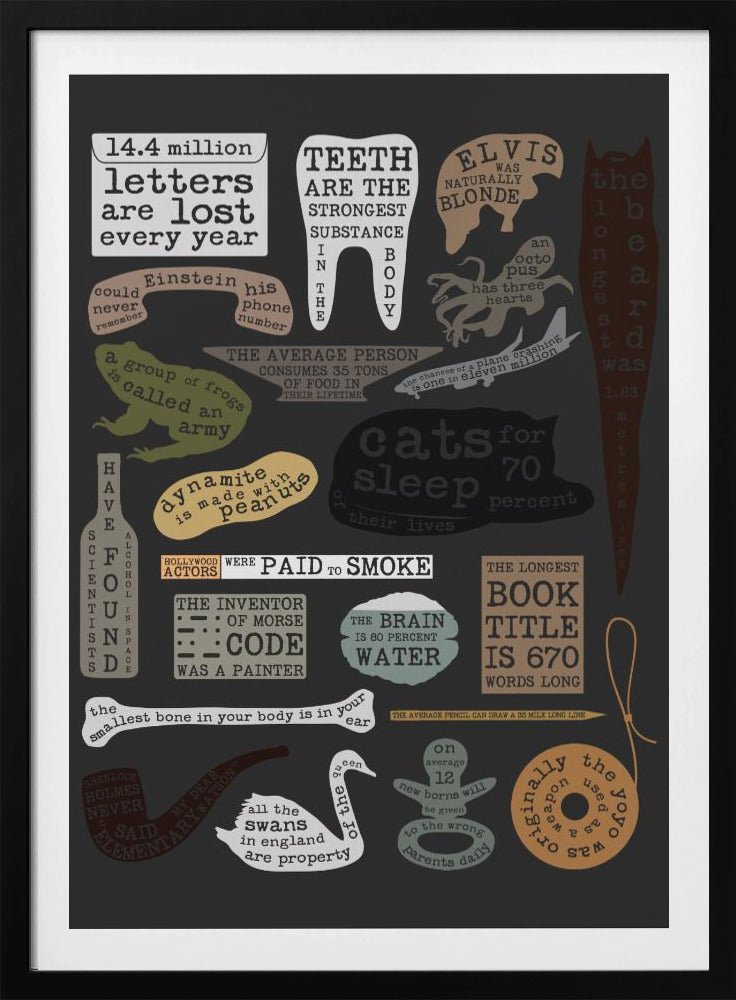 Wissenswertes | Poster