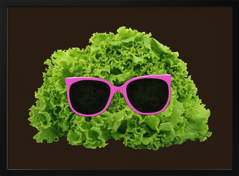 Herr Salat | Poster