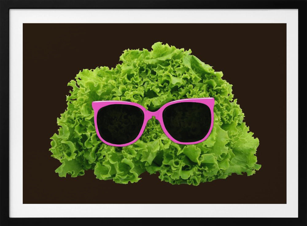 Herr Salat | Poster