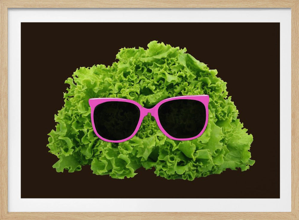 Herr Salat | Poster