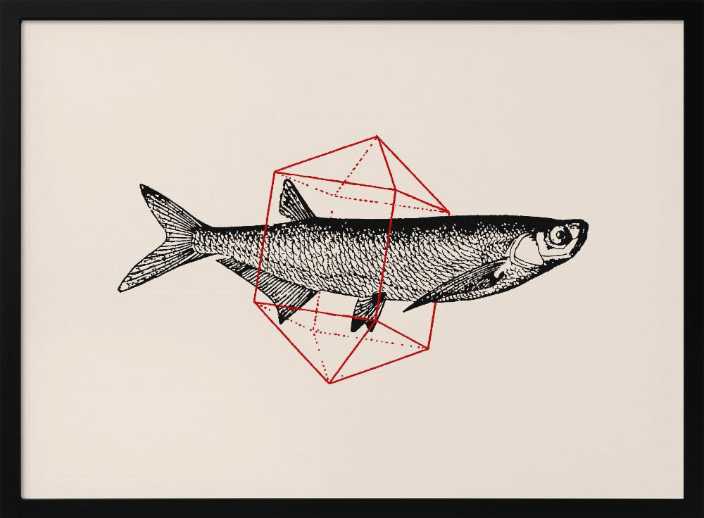 Fisch in Geometrie Nr. 2 | Poster