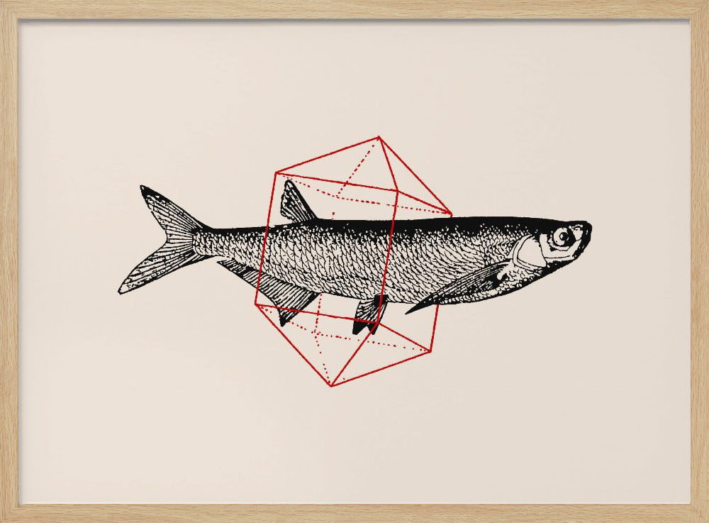 Fisch in Geometrie Nr. 2 | Poster