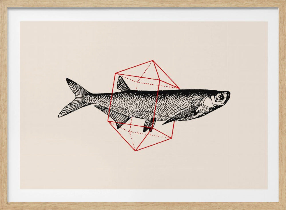 Fisch in Geometrie Nr. 2 | Poster