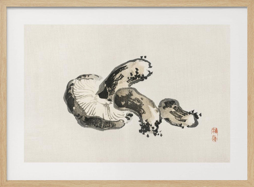 Shiitake-Pilz | Poster