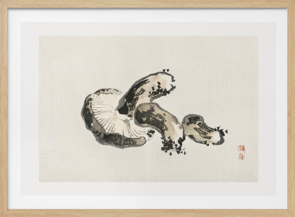 Shiitake-Pilz | Poster
