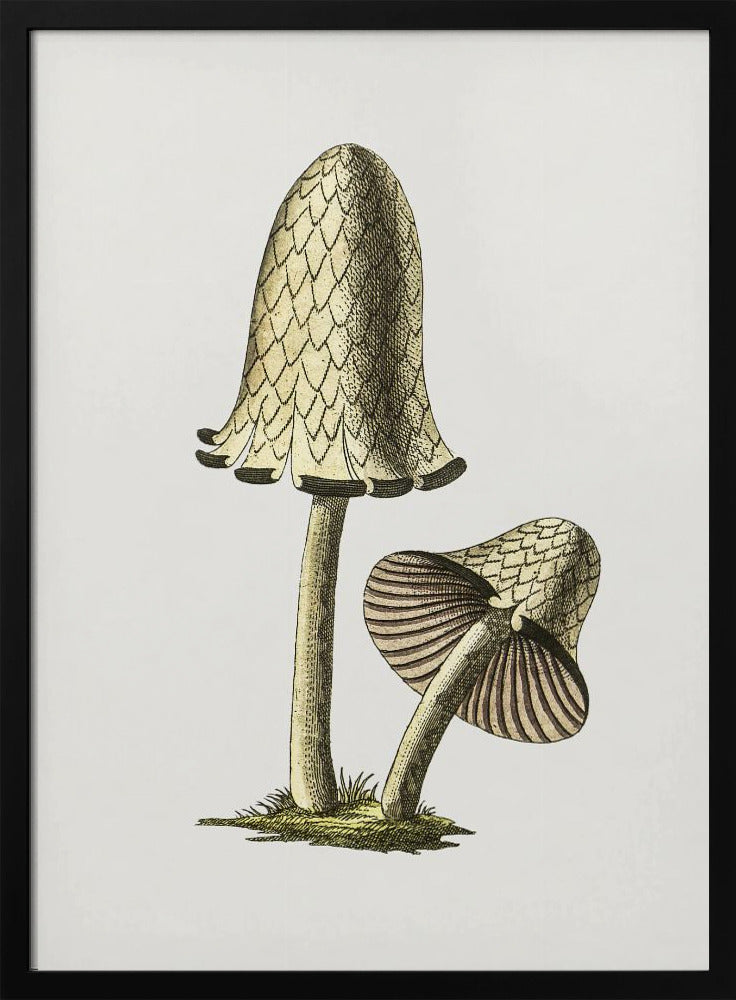 Vintager Tintenfisch-Esspilz | Poster