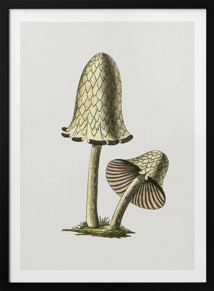 Vintager Tintenfisch-Esspilz | Poster